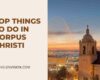 Things to Do in Corpus Christi